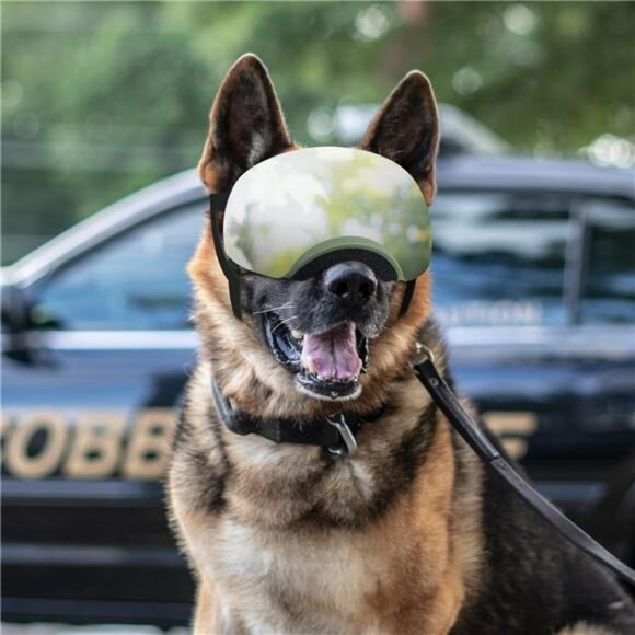 Dog Goggles Large Breed Anti-UV Dog Sunglasses for Medium-Large Dogs Anti-Fog - Picture 5 of 7
